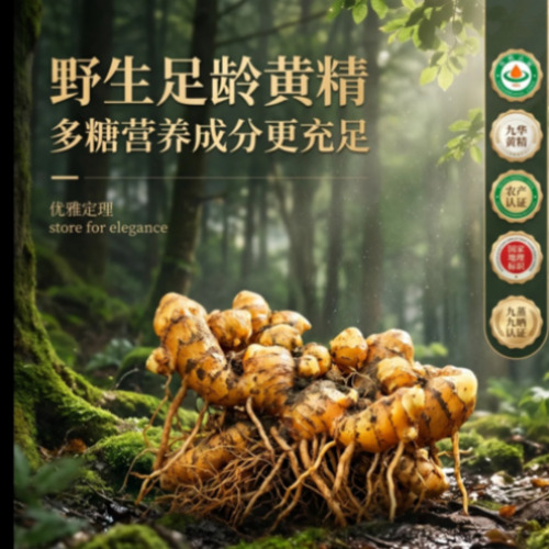 AI视频生成与剪辑